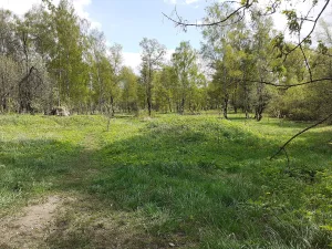 Курганы «Клязьминские»