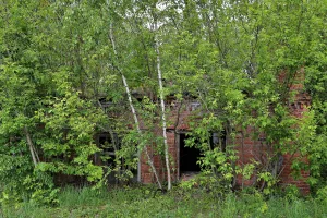 Конюшня (Стёпанцево)