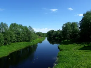 Чална