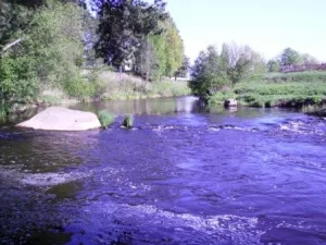 Коваши