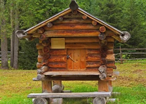 Амбар Синяева М.Г. (Малые Корелы)
