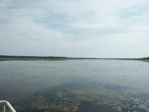 Большое Кирилловское озеро