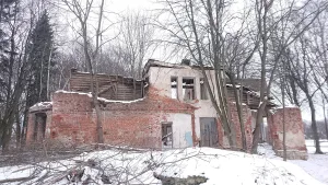 Флигель