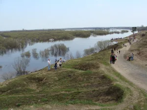 Большая Коряжемка