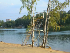 Синичка