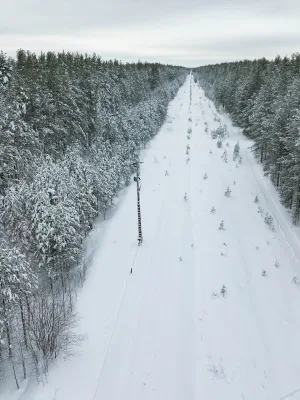 Семафор северный