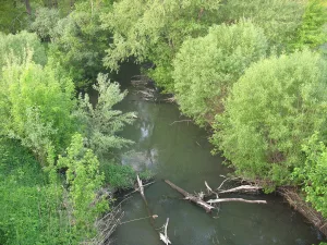 Трещевка