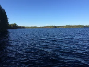 Педармилампи