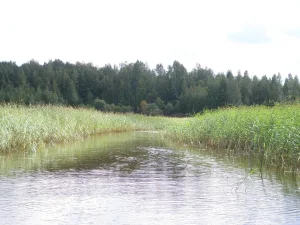 Балахановское озеро
