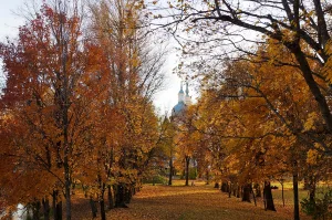 Летний сад (4 га)