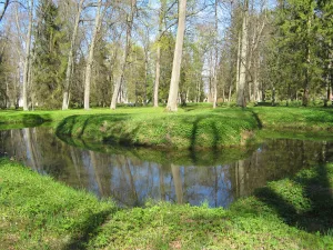 Пруды (два)
