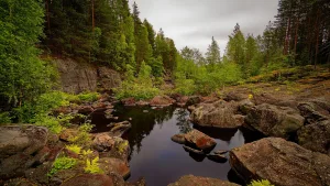 Суна