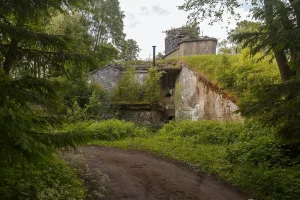Серая Лошадь